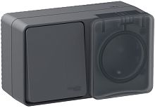 Блок накладной Systeme Electric AtlasDesign Profi54 розетка 1-м.+выключатель 1-кл. IP54 антрацит картинка